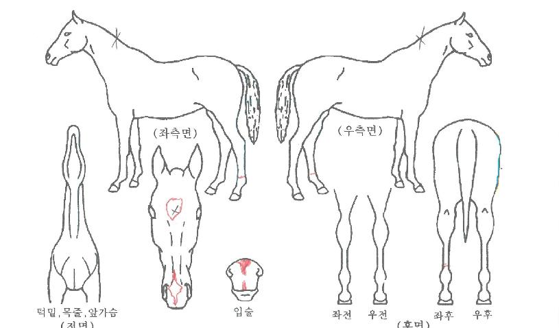 ���ͽ�ũ�� ����,���,�޸�,�λ�,�ٸ��� Ư¡����