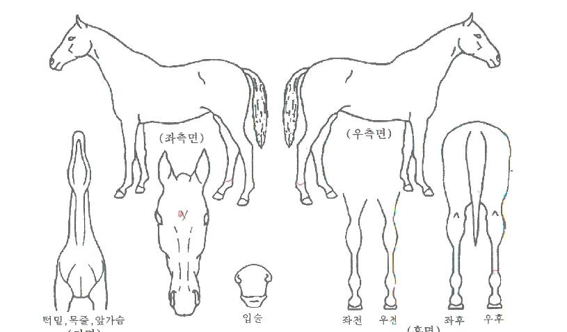 ��ǰ������ ����,���,�޸�,�λ�,�ٸ��� Ư¡����