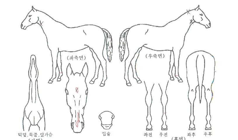 ¾î¸ÞÀÌ¡èÇÁÀÇ Ãø¸é,¿ì¸é,µÞ¸é,µÎ»ó,´Ù¸®ÀÇ Æ¯Â¡µµÇØ