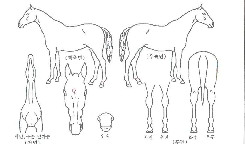 ÇÔ¾ç»ê»ïÀÇ Ãø¸é,¿ì¸é,µÞ¸é,µÎ»ó,´Ù¸®ÀÇ Æ¯Â¡µµÇØ