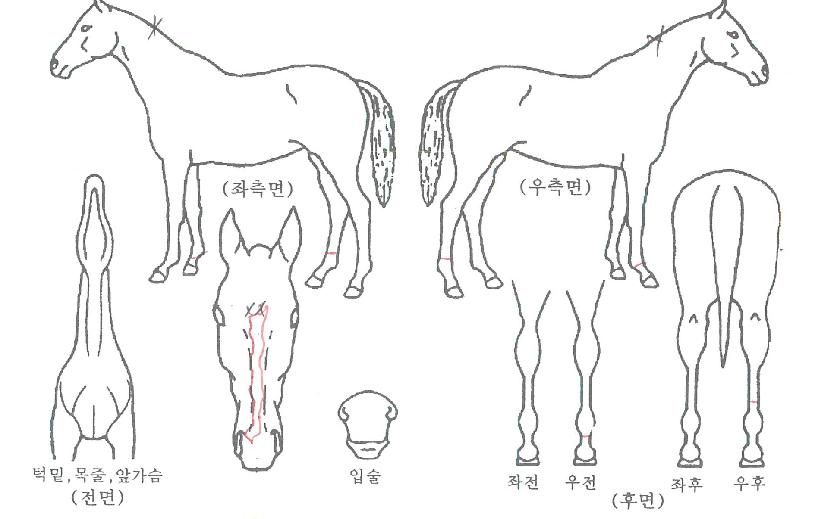 ������̽��� ����,���,�޸�,�λ�,�ٸ��� Ư¡����