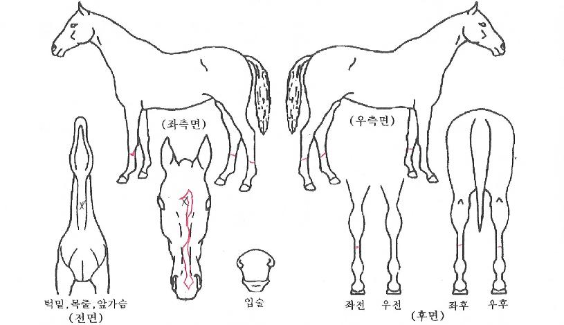 �ʵ������� ����,���,�޸�,�λ�,�ٸ��� Ư¡����