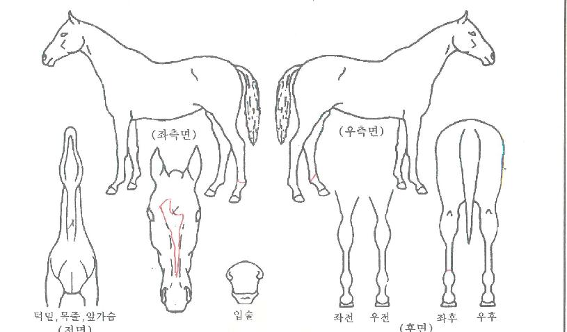 �������� ����,���,�޸�,�λ�,�ٸ��� Ư¡����