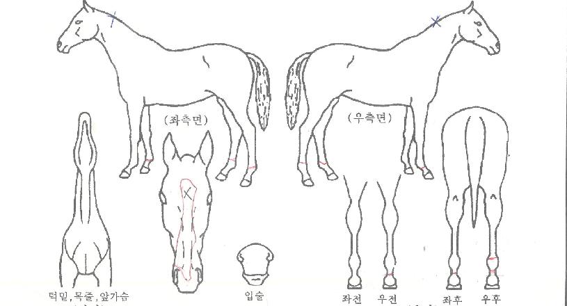 �ؽ��±��� ����,���,�޸�,�λ�,�ٸ��� Ư¡����