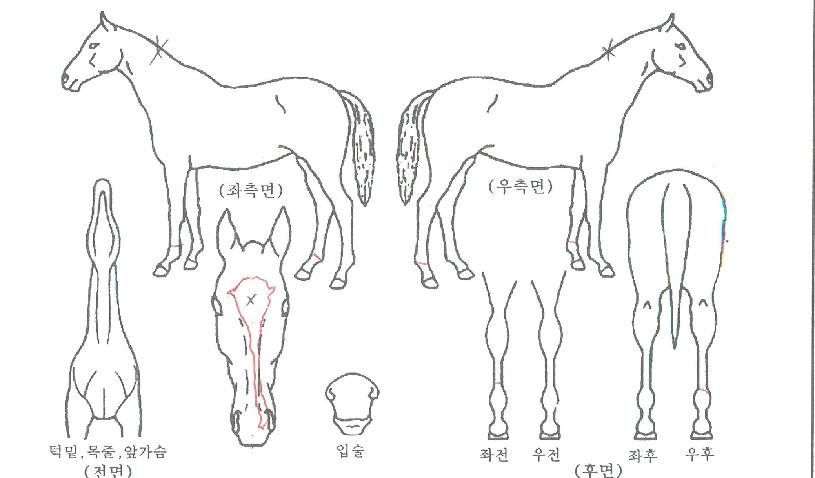 ·¹µðÆ÷¿ùµåÀÇ Ãø¸é,¿ì¸é,µÞ¸é,µÎ»ó,´Ù¸®ÀÇ Æ¯Â¡µµÇØ