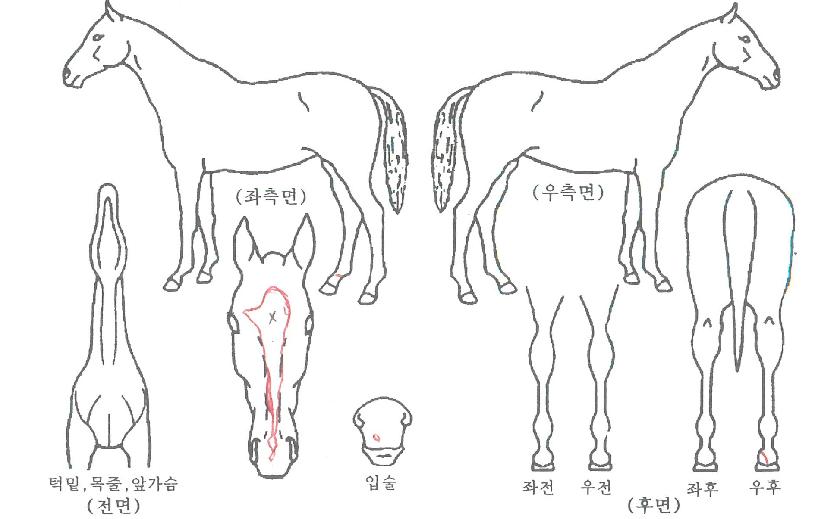 ����Ʈ�ѹ����� ����,���,�޸�,�λ�,�ٸ��� Ư¡����