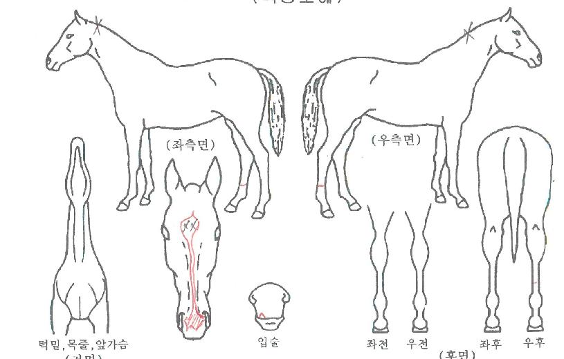 ¼Â´õÆäÀ̽ºÀÇ Ãø¸é,¿ì¸é,µÞ¸é,µÎ»ó,´Ù¸®ÀÇ Æ¯Â¡µµÇØ