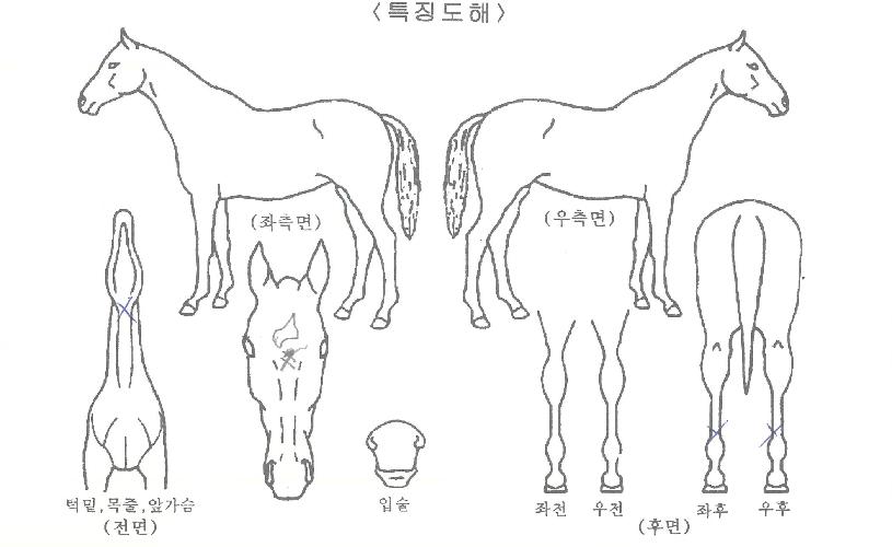 ��Ʈ������ ����,���,�޸�,�λ�,�ٸ��� Ư¡����