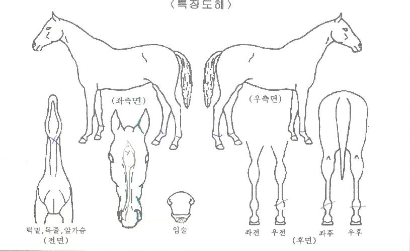 ��ũ�������� ����,���,�޸�,�λ�,�ٸ��� Ư¡����