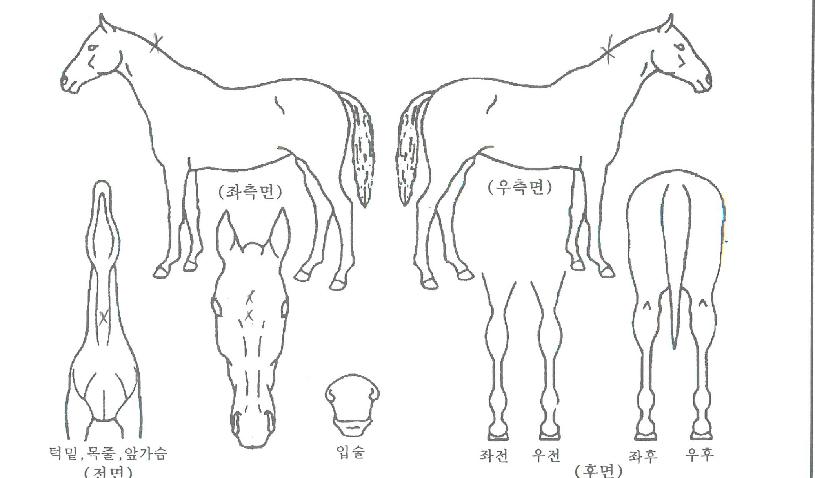 ��ƶ������ ����,���,�޸�,�λ�,�ٸ��� Ư¡����