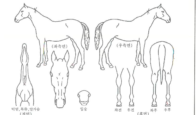 ���������� ����,���,�޸�,�λ�,�ٸ��� Ư¡����