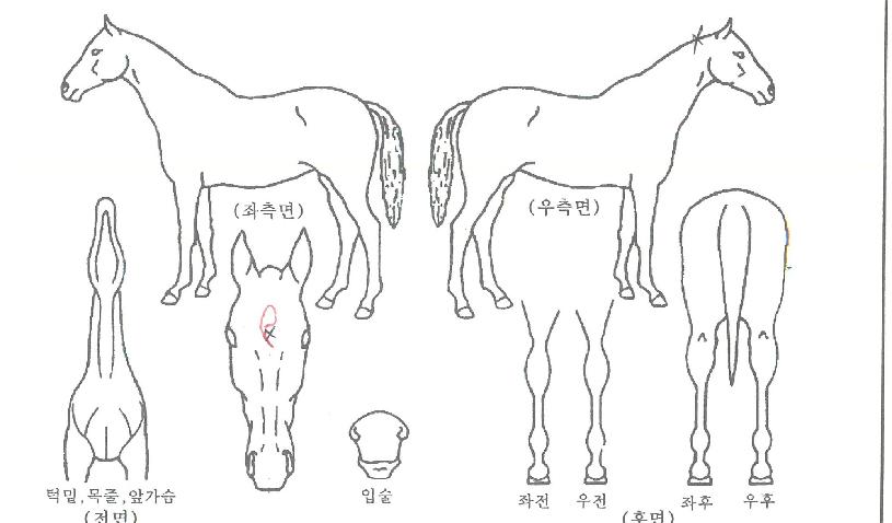 Ŭ����丮�� ����,���,�޸�,�λ�,�ٸ��� Ư¡����