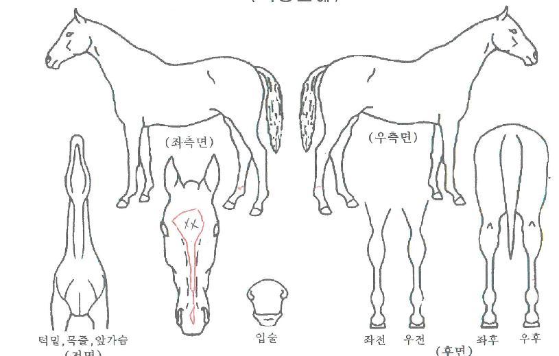 ÆÄ¿ö¾î¸ÞÀÌ¡ÀÇ Ãø¸é,¿ì¸é,µÞ¸é,µÎ»ó,´Ù¸®ÀÇ Æ¯Â¡µµÇØ