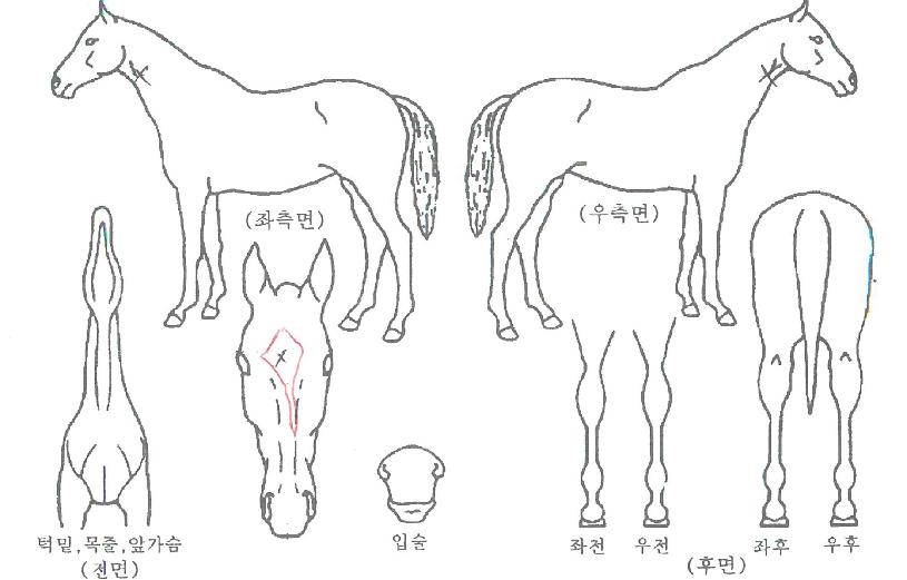 Ŭ���Ĵ����� ����,���,�޸�,�λ�,�ٸ��� Ư¡����