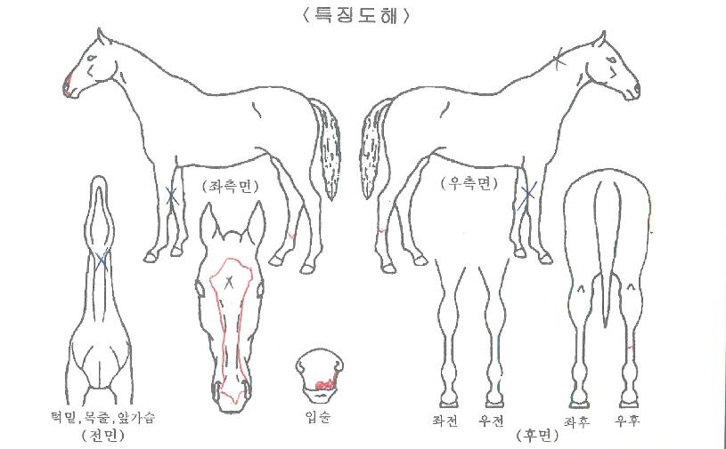 õ������� ����,���,�޸�,�λ�,�ٸ��� Ư¡����