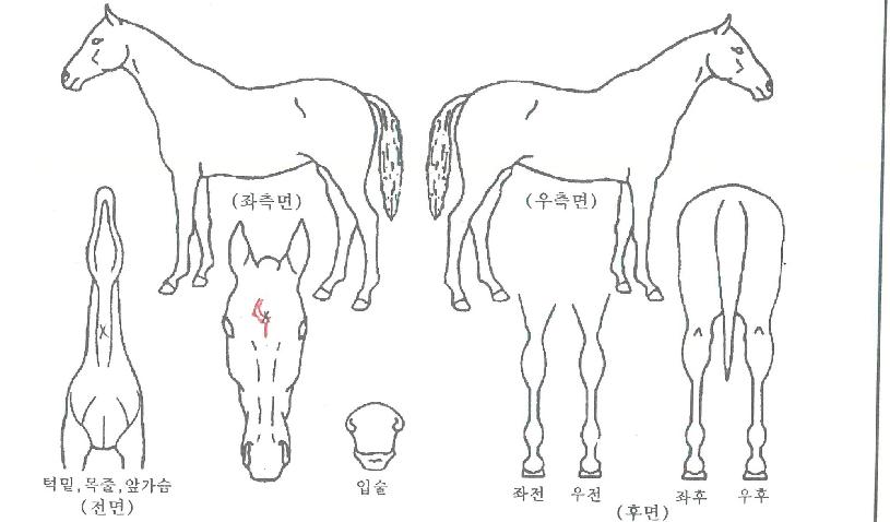 �������� ����,���,�޸�,�λ�,�ٸ��� Ư¡����