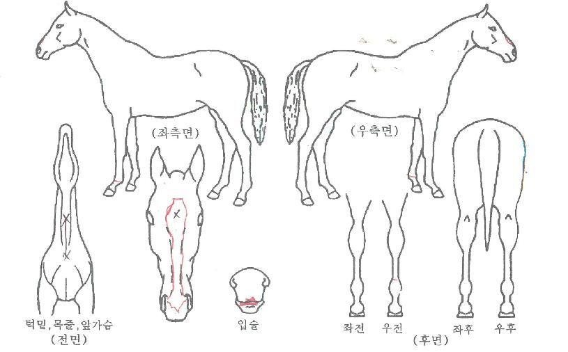 ÆÄÀ̳ÎÇÁ·±Æ®ÀÇ Ãø¸é,¿ì¸é,µÞ¸é,µÎ»ó,´Ù¸®ÀÇ Æ¯Â¡µµÇØ