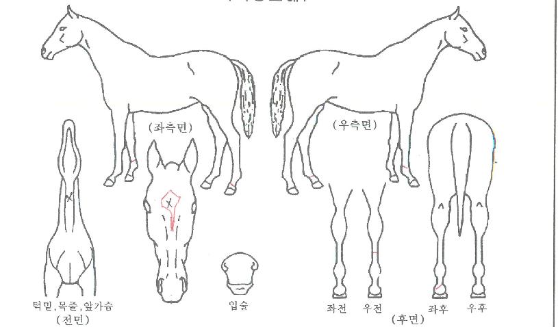 �������丮�� ����,���,�޸�,�λ�,�ٸ��� Ư¡����