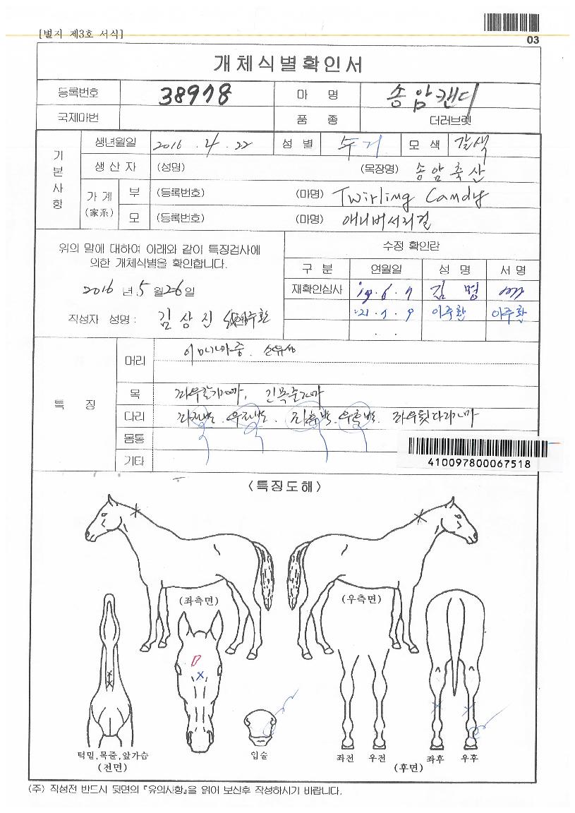 ¼Û¾ÏĵµðÀÇ Ãø¸é,¿ì¸é,µÞ¸é,µÎ»ó,´Ù¸®ÀÇ Æ¯Â¡µµÇØ