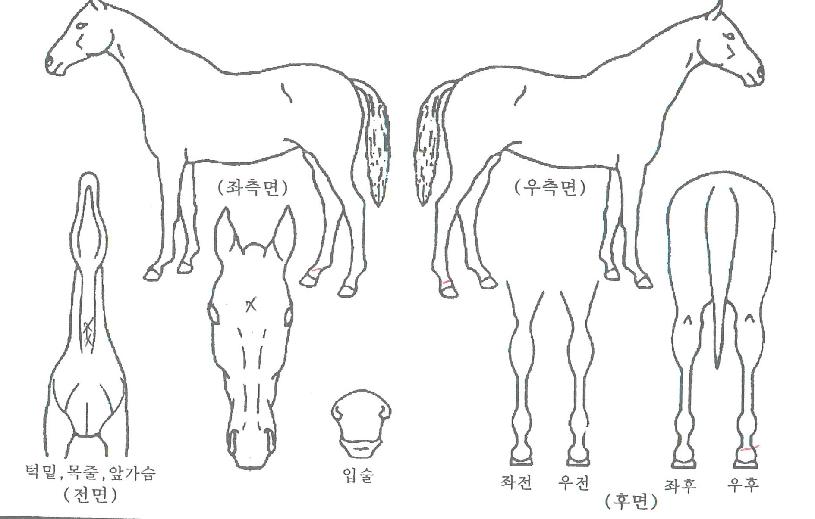 ����Ǯ�귯���� ����,���,�޸�,�λ�,�ٸ��� Ư¡����