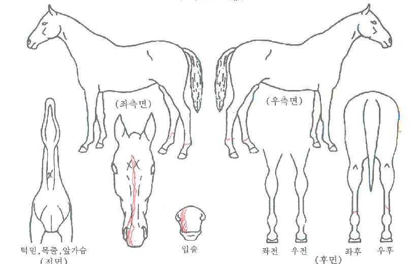 ���μ����� ����,���,�޸�,�λ�,�ٸ��� Ư¡����