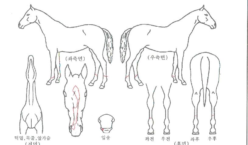 ������ũ�� ����,���,�޸�,�λ�,�ٸ��� Ư¡����