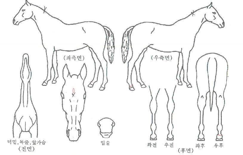 ���ͼ����� ����,���,�޸�,�λ�,�ٸ��� Ư¡����