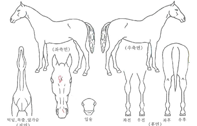 �����̽����� ����,���,�޸�,�λ�,�ٸ��� Ư¡����