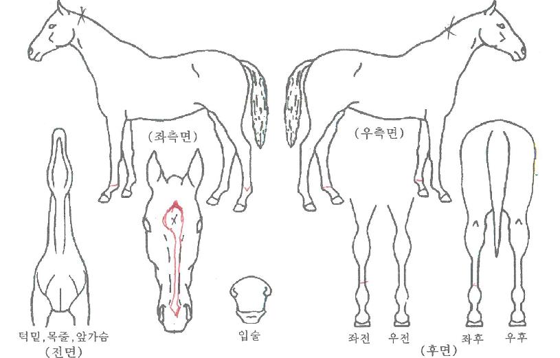 ���κ�����ũ�� ����,���,�޸�,�λ�,�ٸ��� Ư¡����