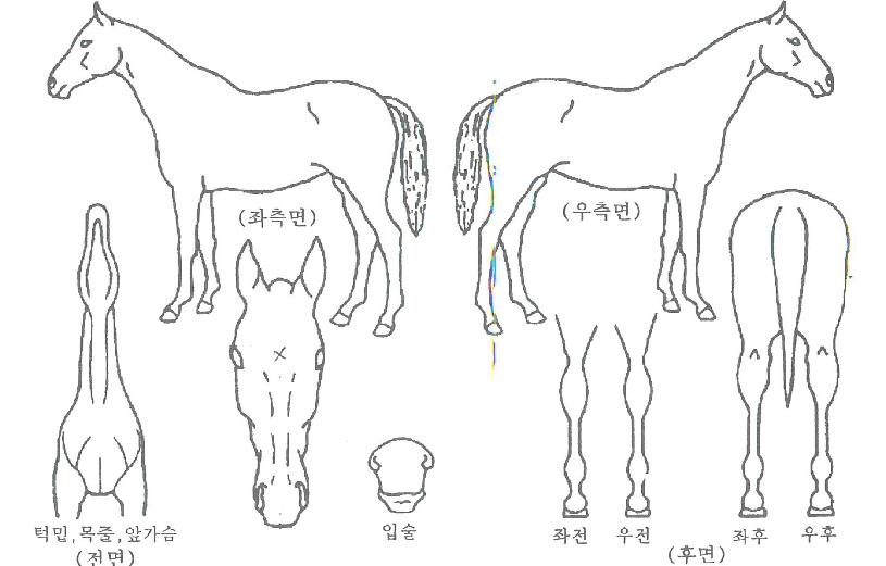 ���ϼ����� ����,���,�޸�,�λ�,�ٸ��� Ư¡����