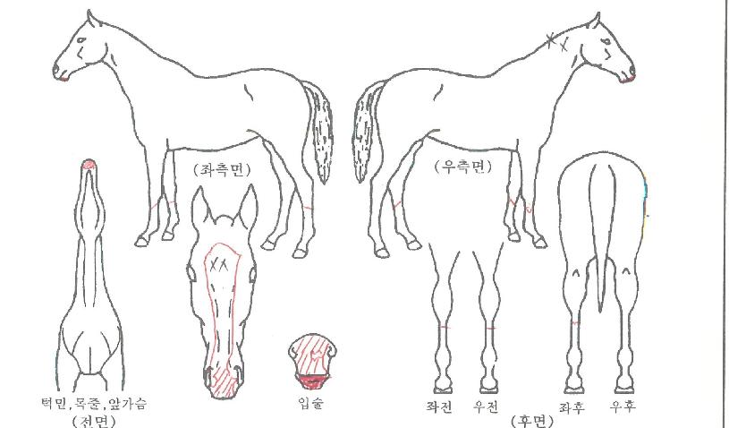 �ļ������� ����,���,�޸�,�λ�,�ٸ��� Ư¡����