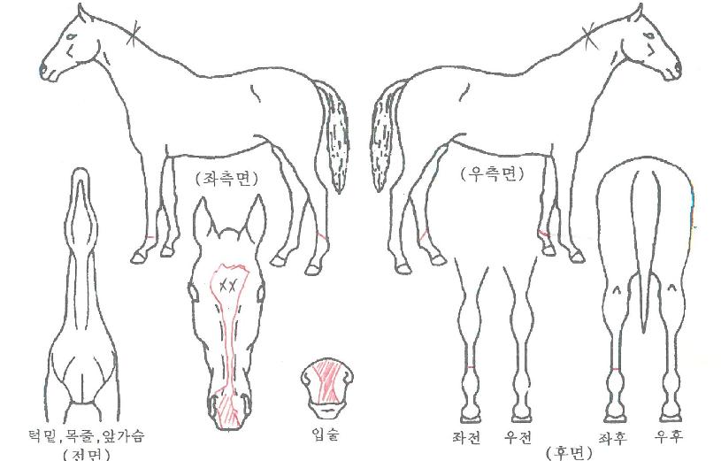 ��ũ������ ����,���,�޸�,�λ�,�ٸ��� Ư¡����