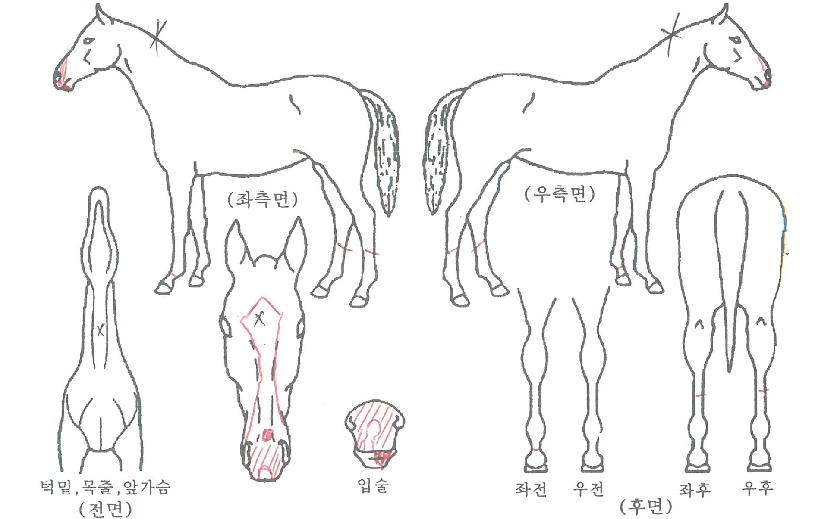 ���׺����� ����,���,�޸�,�λ�,�ٸ��� Ư¡����