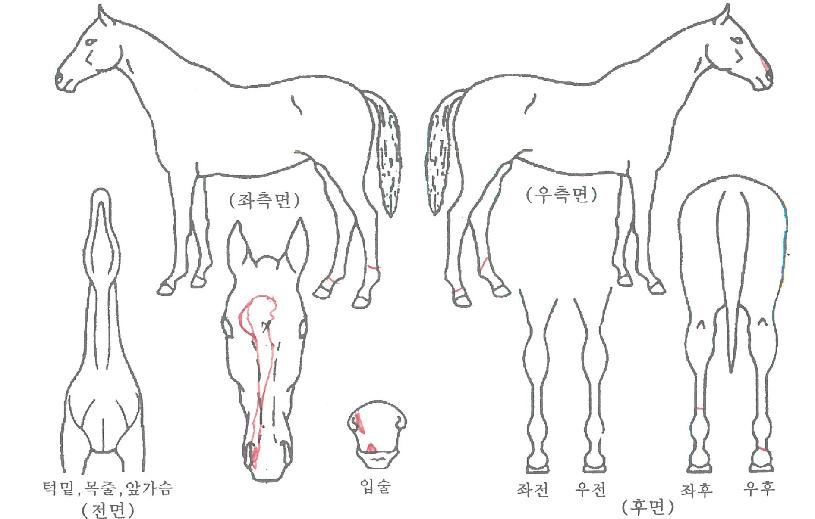 ȭ��Ʈ������ ����,���,�޸�,�λ�,�ٸ��� Ư¡����