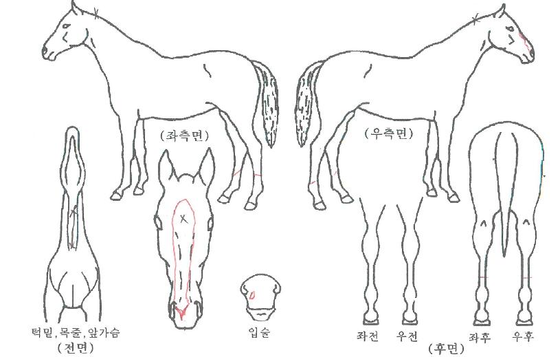 ȣũ�������� ����,���,�޸�,�λ�,�ٸ��� Ư¡����