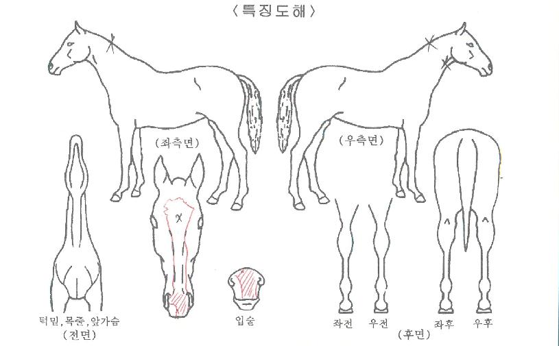 �������� ����,���,�޸�,�λ�,�ٸ��� Ư¡����