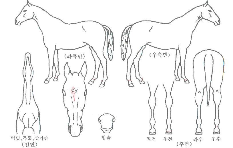 ���ռ��� ����,���,�޸�,�λ�,�ٸ��� Ư¡����