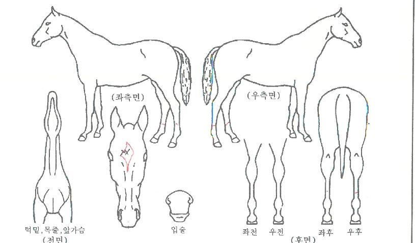 �������� ����,���,�޸�,�λ�,�ٸ��� Ư¡����