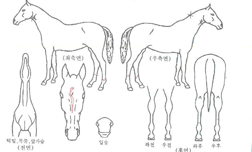 ���弱�� ����,���,�޸�,�λ�,�ٸ��� Ư¡����