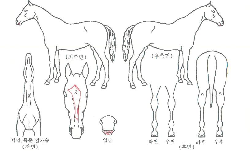 �ѹ�����Ÿ�� ����,���,�޸�,�λ�,�ٸ��� Ư¡����