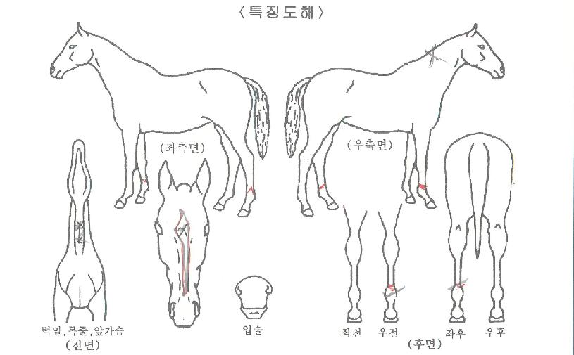 �ҿ���� ����,���,�޸�,�λ�,�ٸ��� Ư¡����