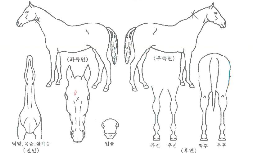 ���丮������ ����,���,�޸�,�λ�,�ٸ��� Ư¡����