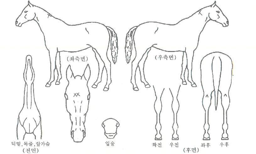 �������̽��� ����,���,�޸�,�λ�,�ٸ��� Ư¡����