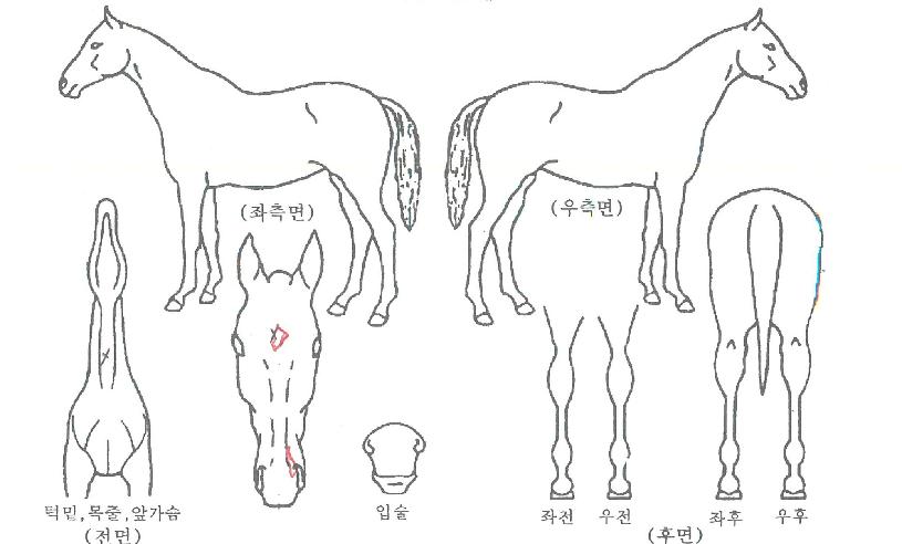 ����ó���� ����,���,�޸�,�λ�,�ٸ��� Ư¡����