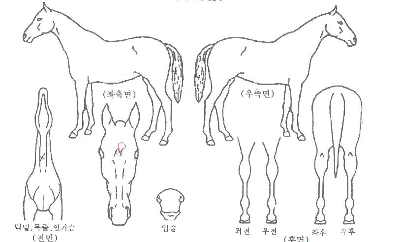 ������Ŀ�ǵ��ڸ��� ����,���,�޸�,�λ�,�ٸ��� Ư¡����