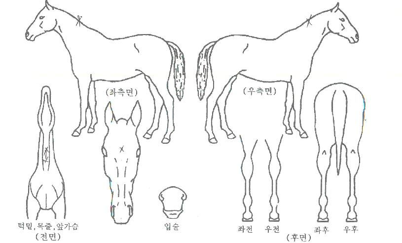 ����Ű���� ����,���,�޸�,�λ�,�ٸ��� Ư¡����