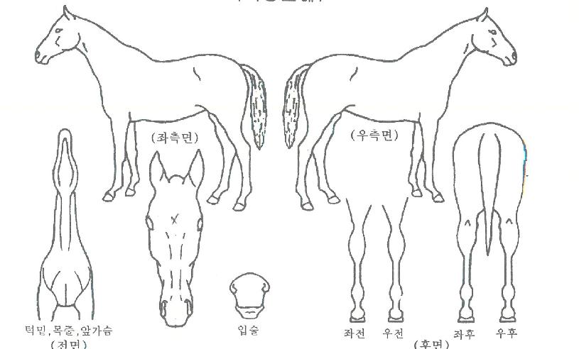 �����̺����� ����,���,�޸�,�λ�,�ٸ��� Ư¡����