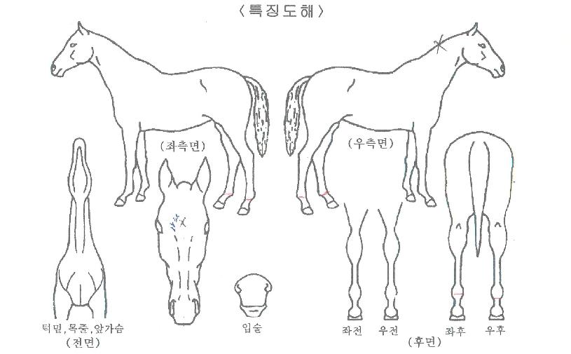 �Ѿ紩���� ����,���,�޸�,�λ�,�ٸ��� Ư¡����