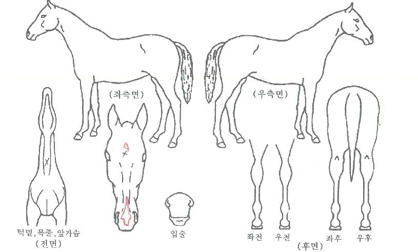 ���纸���� ����,���,�޸�,�λ�,�ٸ��� Ư¡����