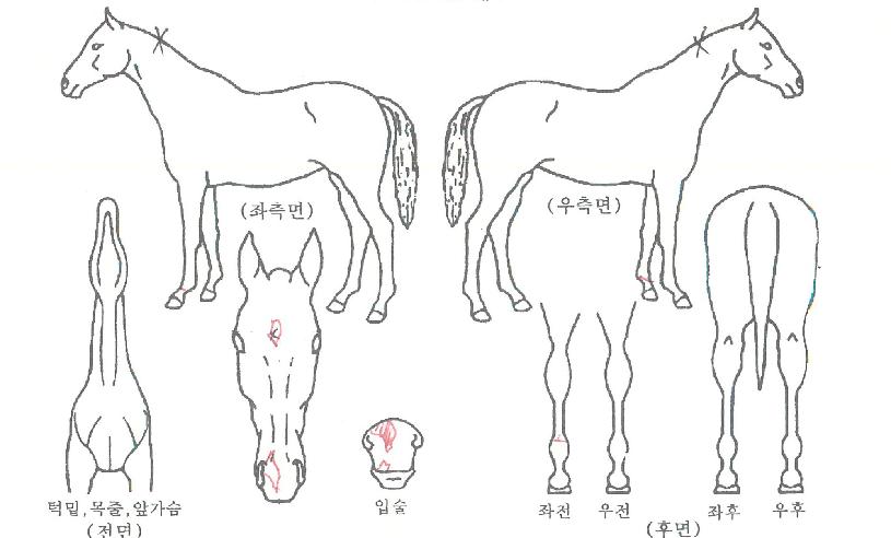 ��Ʈ������ ����,���,�޸�,�λ�,�ٸ��� Ư¡����